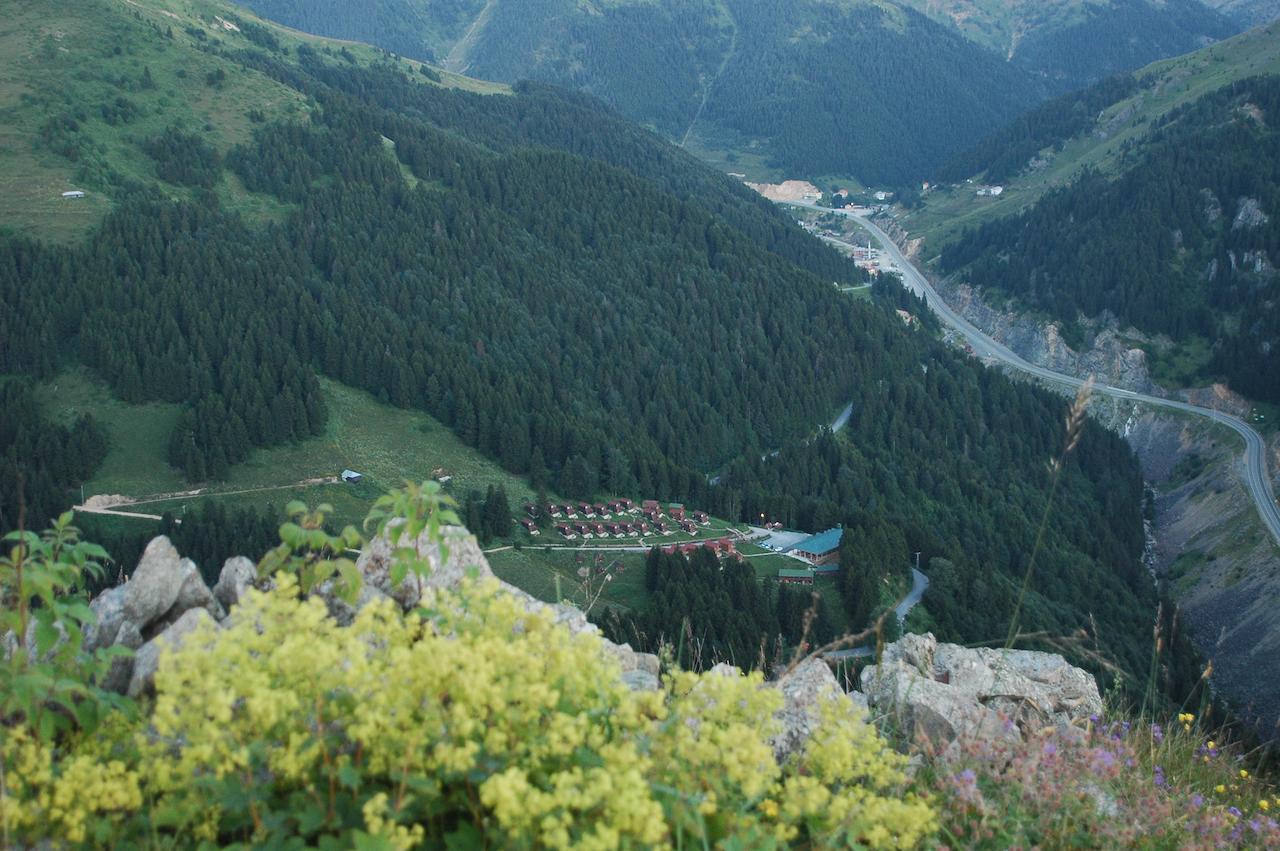 Zitas Zigana Yayla Tatil Koyu Macka エクステリア 写真
