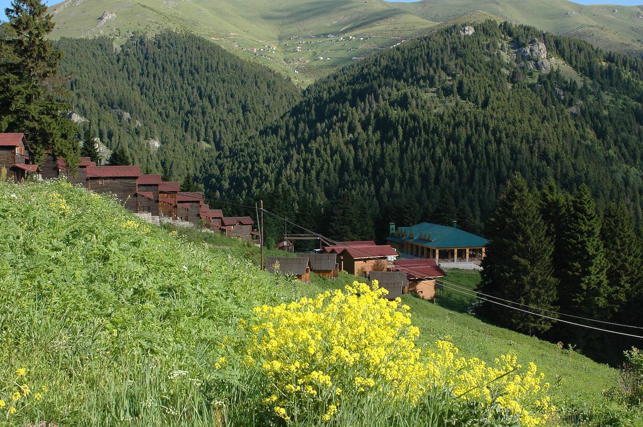 Zitas Zigana Yayla Tatil Koyu Macka エクステリア 写真