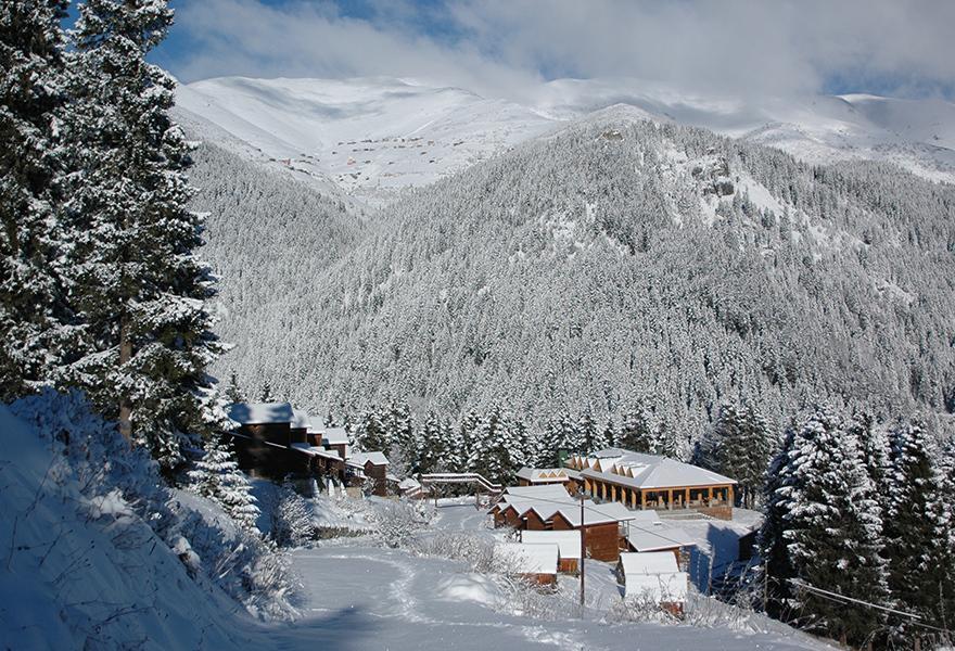 Zitas Zigana Yayla Tatil Koyu Macka エクステリア 写真