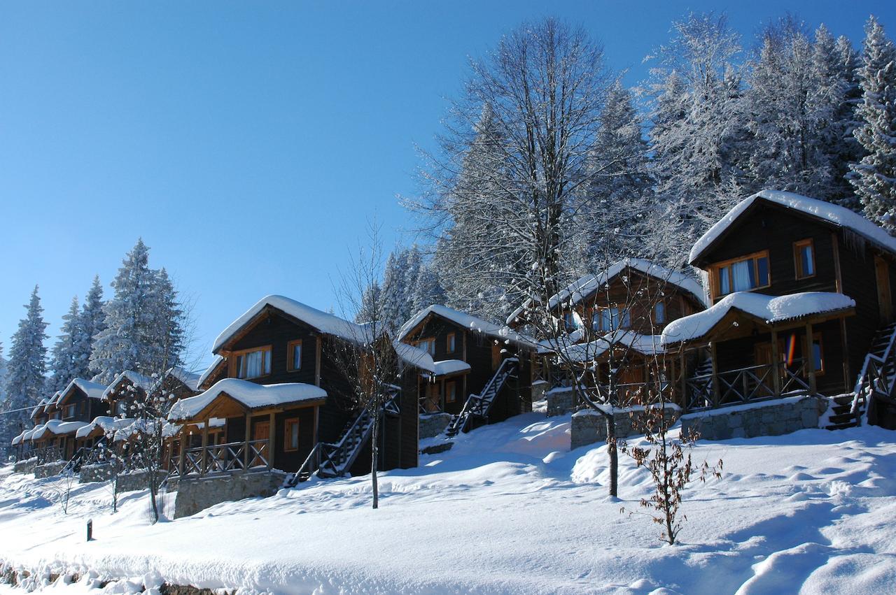 Zitas Zigana Yayla Tatil Koyu Macka エクステリア 写真