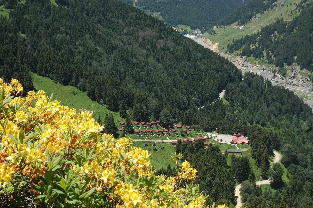 Zitas Zigana Yayla Tatil Koyu Macka エクステリア 写真