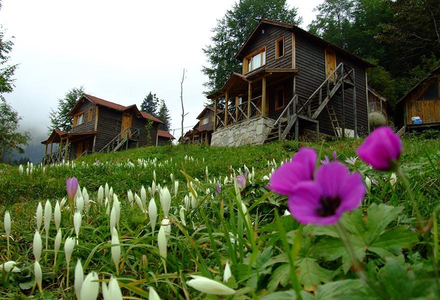 Zitas Zigana Yayla Tatil Koyu Macka エクステリア 写真