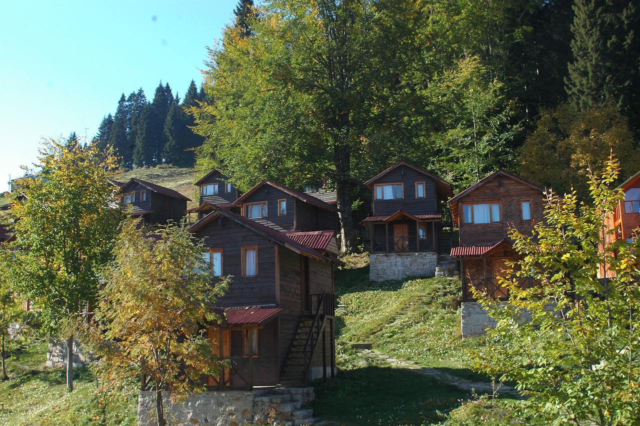 Zitas Zigana Yayla Tatil Koyu Macka エクステリア 写真