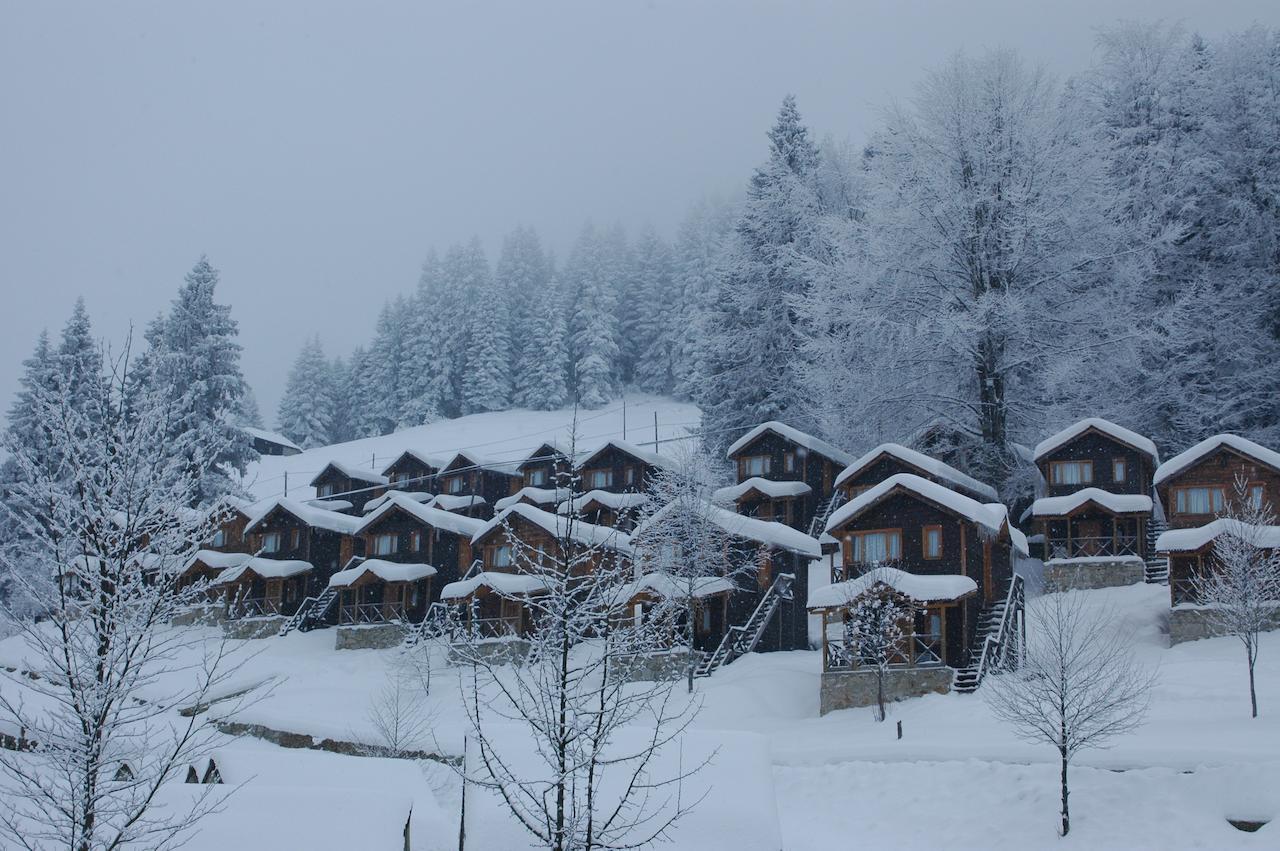 Zitas Zigana Yayla Tatil Koyu Macka エクステリア 写真