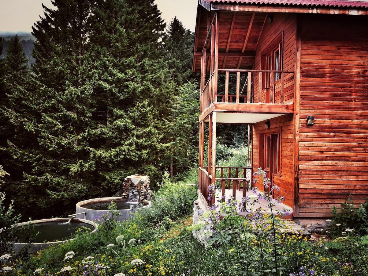 Zitas Zigana Yayla Tatil Koyu Macka エクステリア 写真