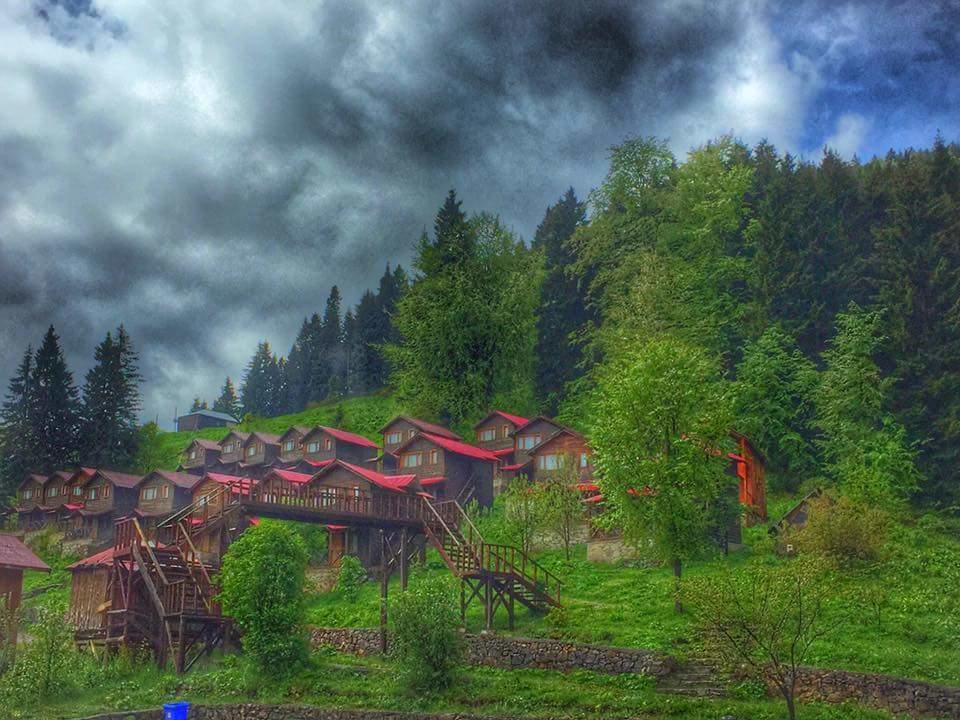 Zitas Zigana Yayla Tatil Koyu Macka エクステリア 写真