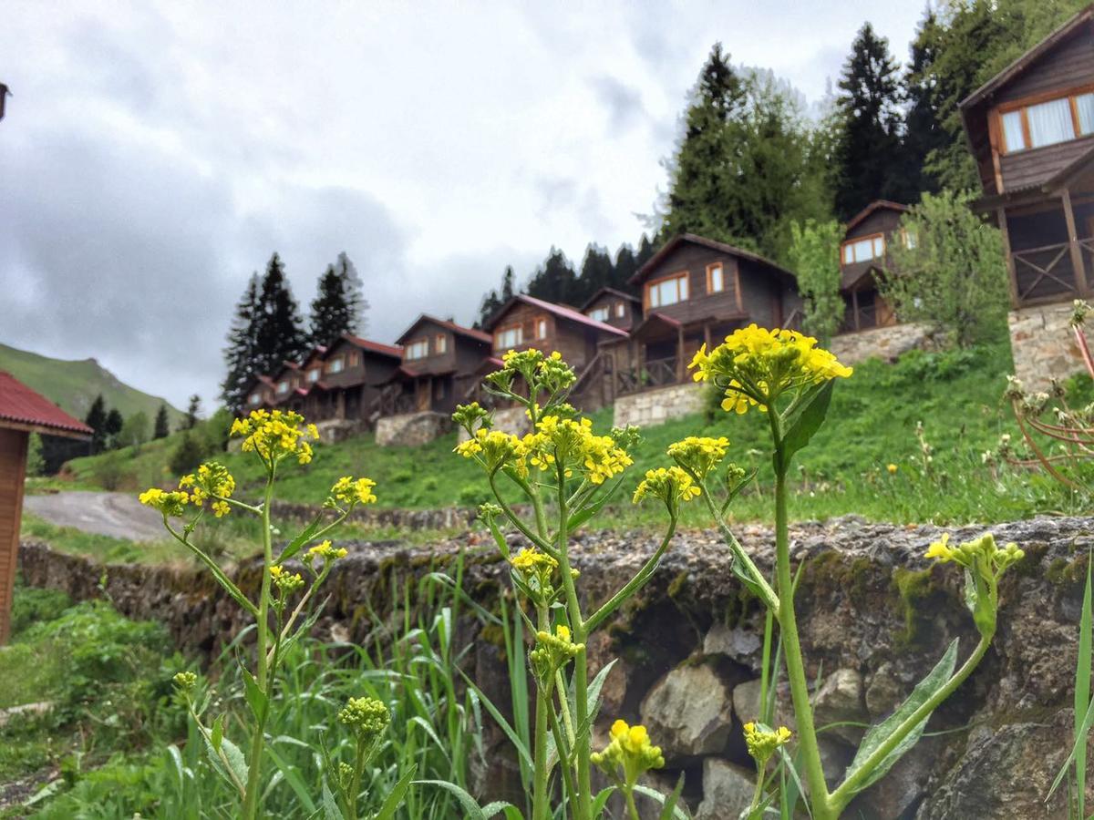 Zitas Zigana Yayla Tatil Koyu Macka エクステリア 写真