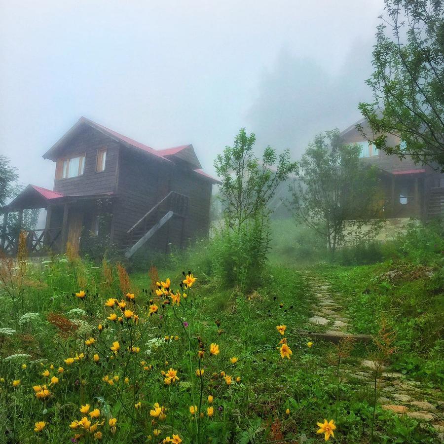 Zitas Zigana Yayla Tatil Koyu Macka エクステリア 写真