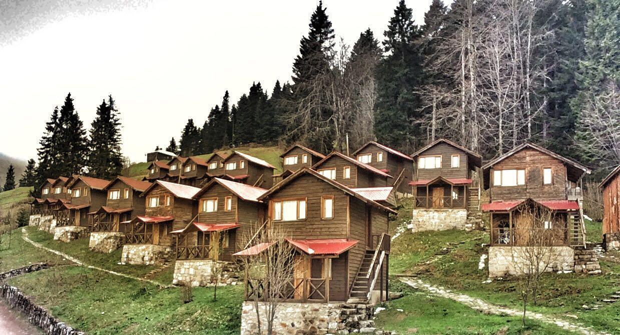 Zitas Zigana Yayla Tatil Koyu Macka エクステリア 写真