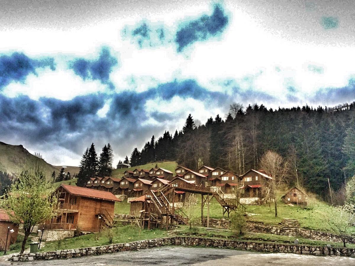 Zitas Zigana Yayla Tatil Koyu Macka エクステリア 写真